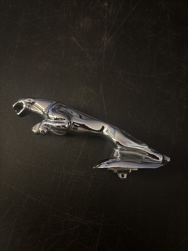 Vintage jaguar hood - jaguar, ornament