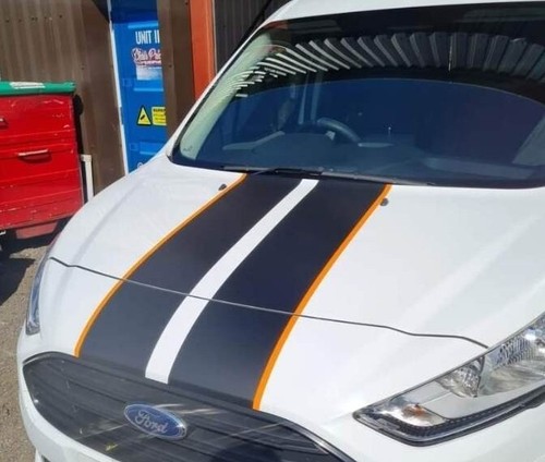 Ford transit connect vinyl - ford,