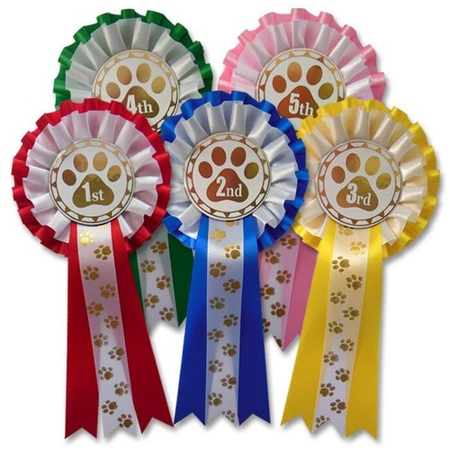 Dog show rosettes 1st - show,