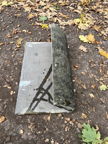 Reclaimed mono ridge tile - reclaimed,