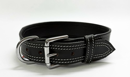 Leather designer dog - designer, collar