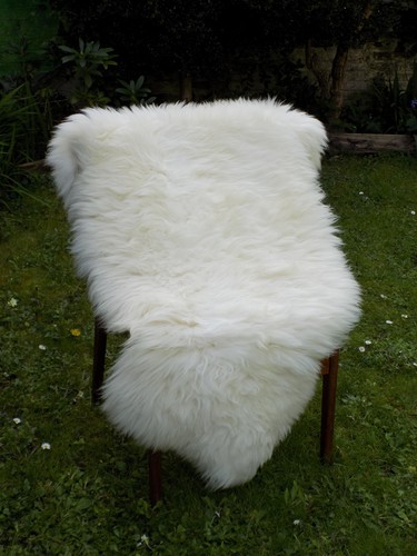 Extra large genuine - genuine, natural