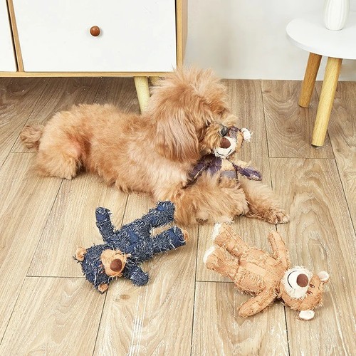 Extreme bear dog - dog, toy