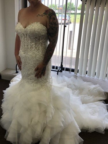 Wedding dress with vail - dress, vail 