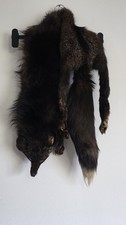 Real Fox Fur Stole Silver Fox