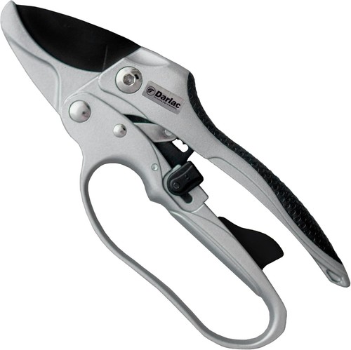 Darlac dual action ratchet - dual,