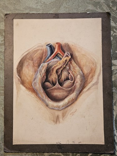 1800s signed watercolor human - watercolor,
