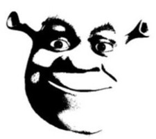 SHREK FACE VINYL STICKER FOR