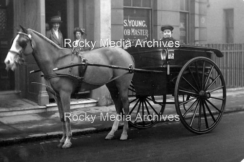 Jfd horse trap - horse, &