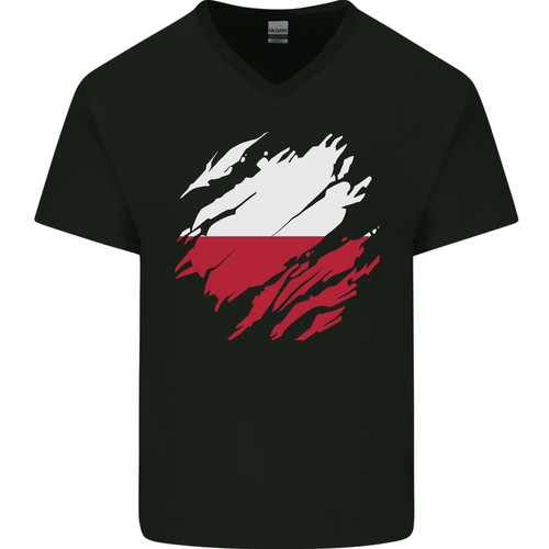 Torn poland flag - polish, day