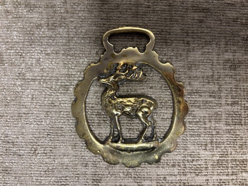 Vintage solid brass stag - , deer