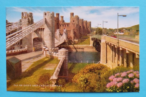 Vintage postcard unposted the - vintage,