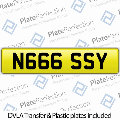 N666 ssy nessy - ssy, vanessa
