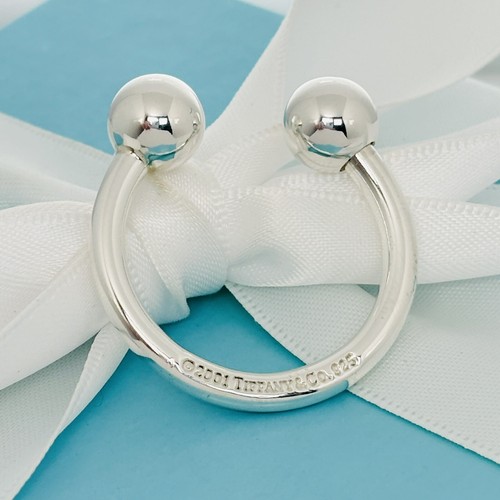 Tiffany horseshoe key - horseshoe,