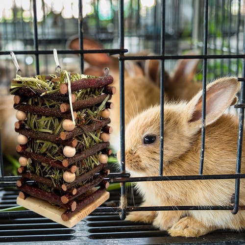 Hay feeder grass frame - frame, manger