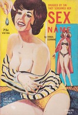 SEX NAME BY VIRGIL CORNING VINTAGE LESBIAN EROTICA ADULT PULP PAPERBACK C 1964