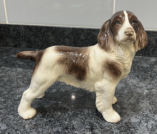 China spaniel - china,