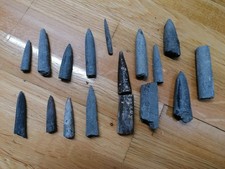 Huge Collection Jurrasic Coast Fossils Belemnites  Chsrmouth