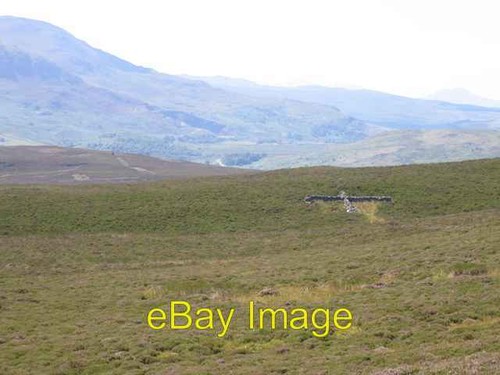 Photo 6x4 sheep shelter - 6x4, y