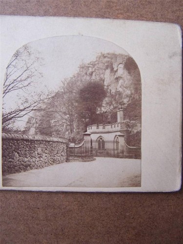 Stereoscopic stereo view - stereoscopic, stereo-view