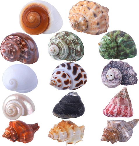 14pcs kind small medium - 14pcs,