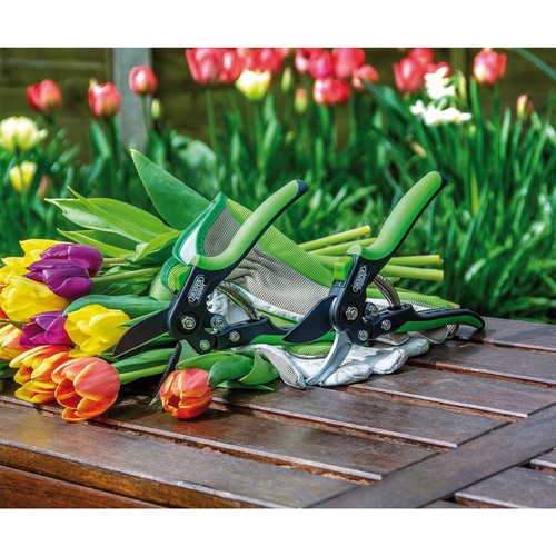 Draper anvil pattern secateur - pattern,