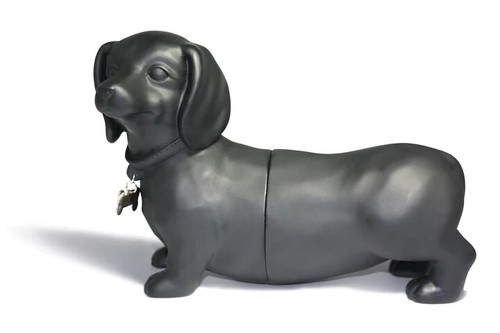 Black beautiful dachshund - beautiful,