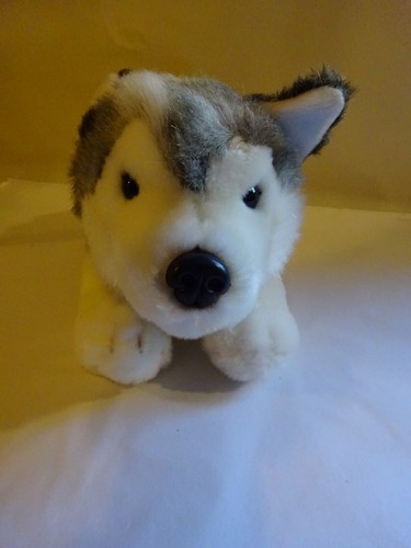 Brand new husky - brand,