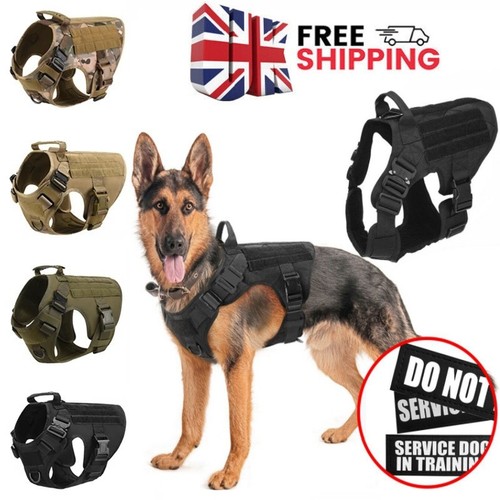 Tactical dog harness leash - dog,