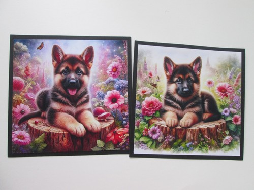 Set x alsatian - 2,