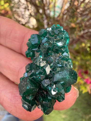 Dioptase crystal specimen - crystal, aa