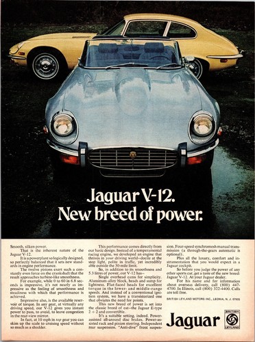 1973 jaguar xke - v-12,