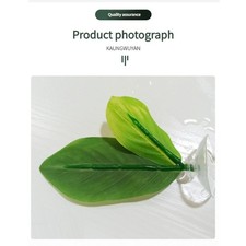 Water Leaf for Betta Fish