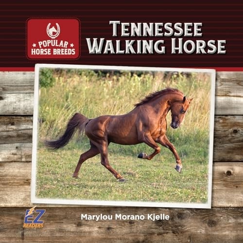 Tennessee walking horse - walking,