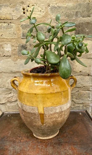 Stunning antique french medium - antique,