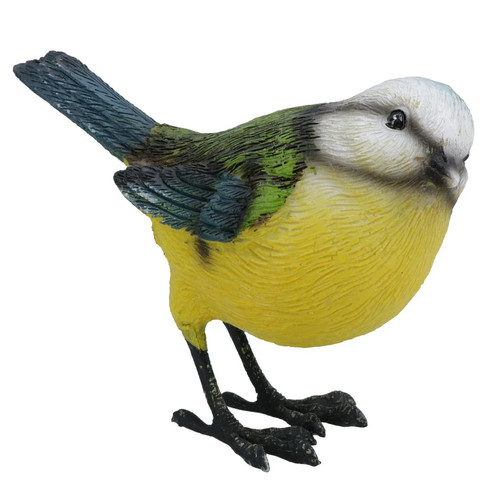 Blue tit garden - blue,