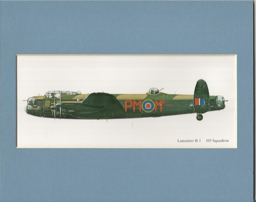 Aviation art mounted print - art,