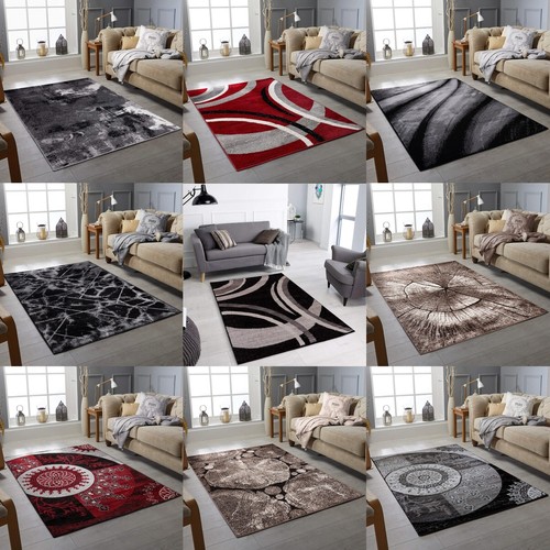 Extra large area rugs - large, hallway