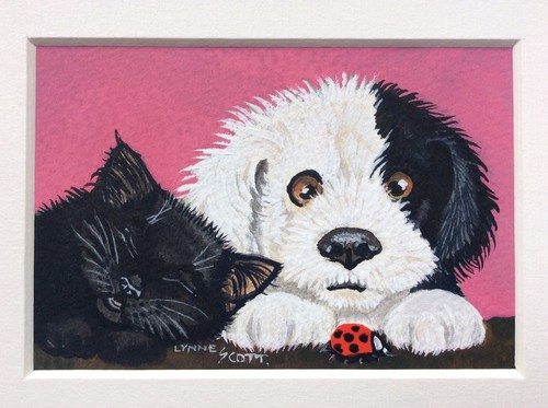 Lynne scott black kitten - -, &