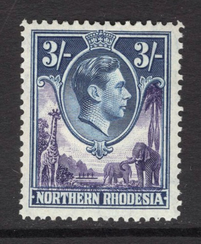 M17877 northern - m17877,