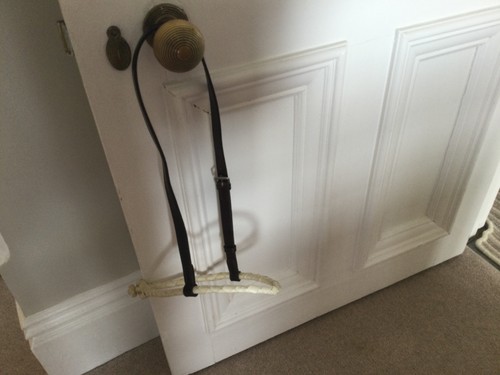 Rawhide and leather noseband - and,