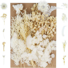 Real Dried Pressed Flowers