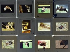 24 x Vintage 35mm Photo Slides