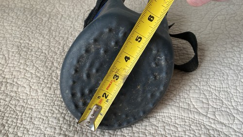 Davis equine horse hoof - davis,