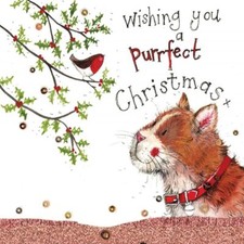 Christmas Card - Perfect Christmas Cat - Sparkle - Alex Clark Quality NEW