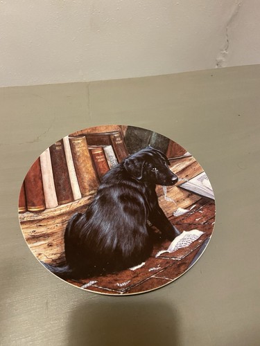 Wedgwood labrador retriever - wedgwood,