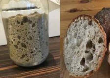 FRESH 100 % Rye Mature