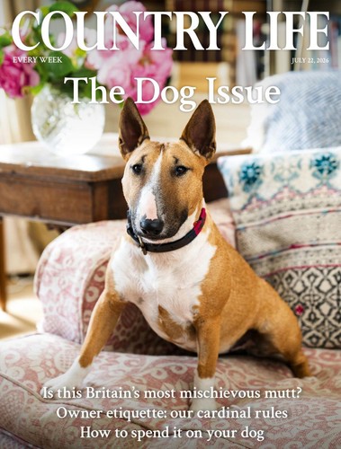 Country life magazine - country,