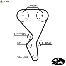 TIMING BELT 5581XS FOR PEUGEOT