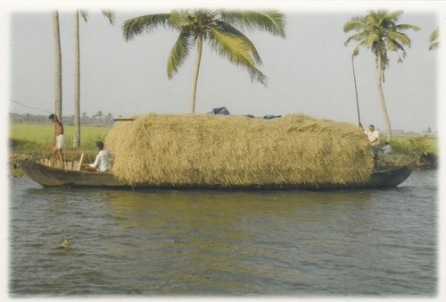 Kerala backwaters boat - boat, india
